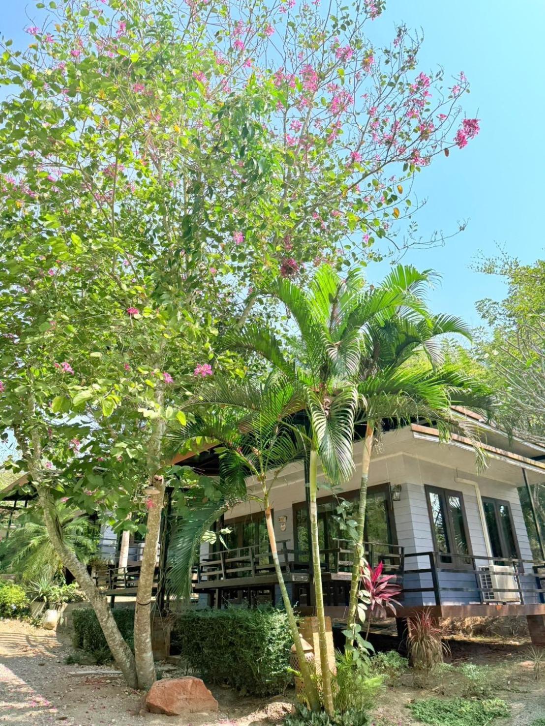Baan Suan Hill Resort Ban Tha Khun Экстерьер фото