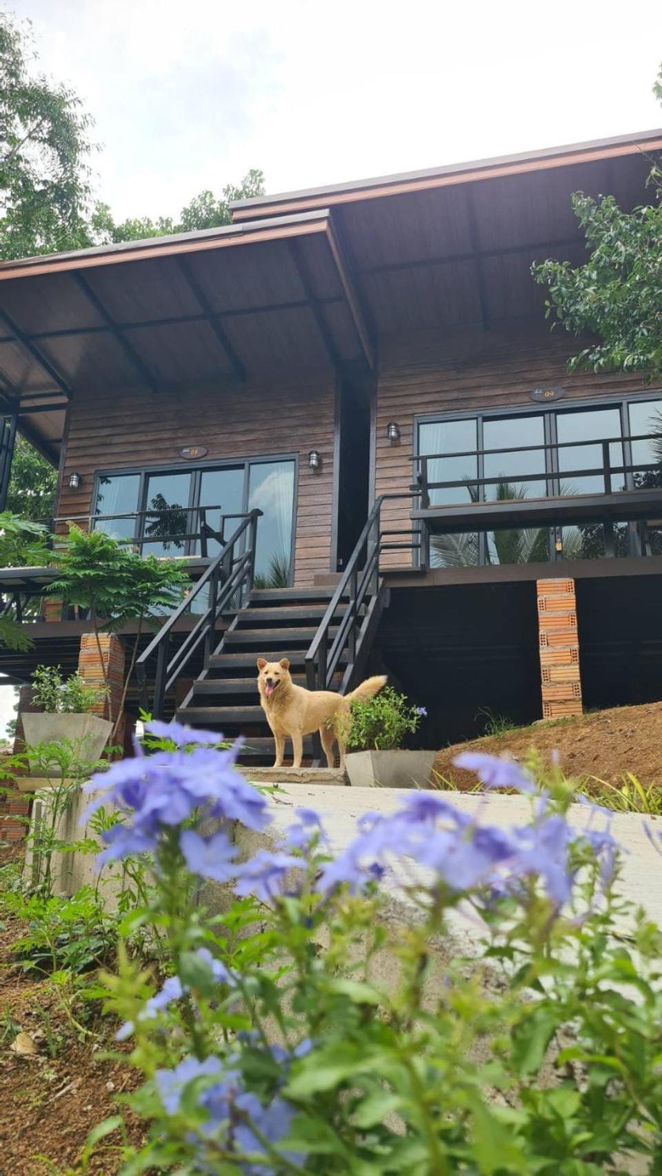 Baan Suan Hill Resort Ban Tha Khun Экстерьер фото